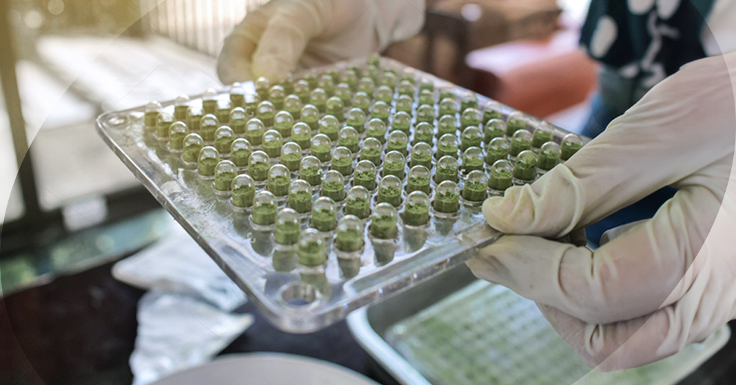 Choose Supplement Manufacturer Image Large Sky Nutraceuticals How to Choose the Ideal Private Label Supplement Manufacturer?