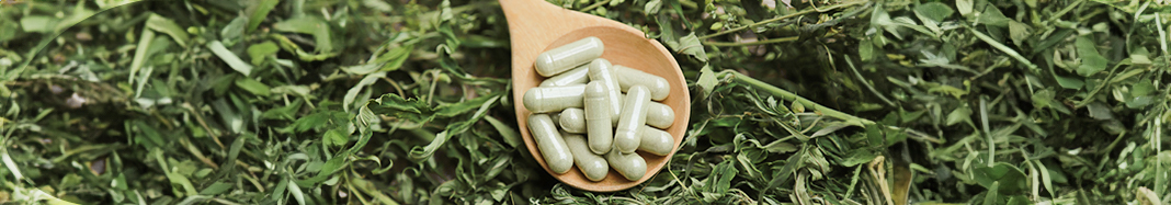 Choose Supplement Manufacturer Image Small Sky Nutraceuticals How to Choose the Ideal Private Label Supplement Manufacturer?