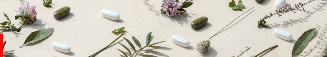 Best Vitamin Blog Small Sky Nutraceuticals What Vitamins and Minerals to Take and Go Well Together?