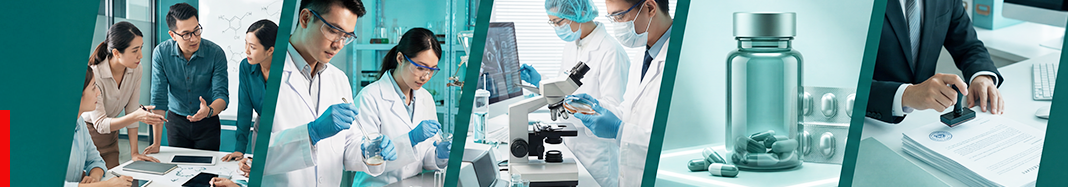 SN Blog Small Sky Nutraceuticals Choosing the Right Sweetener for Diabetic & Keto-Friendly Health Products