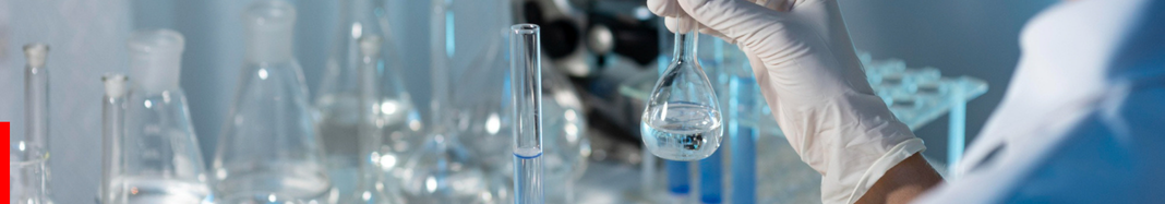 Closing Image 1068px × 187px 1 Sky Nutraceuticals From Niche to Necessity: Why PQQ’s "Mitochondrial Biogenesis" Claim is the New Gold Standard for 2026 Formulations