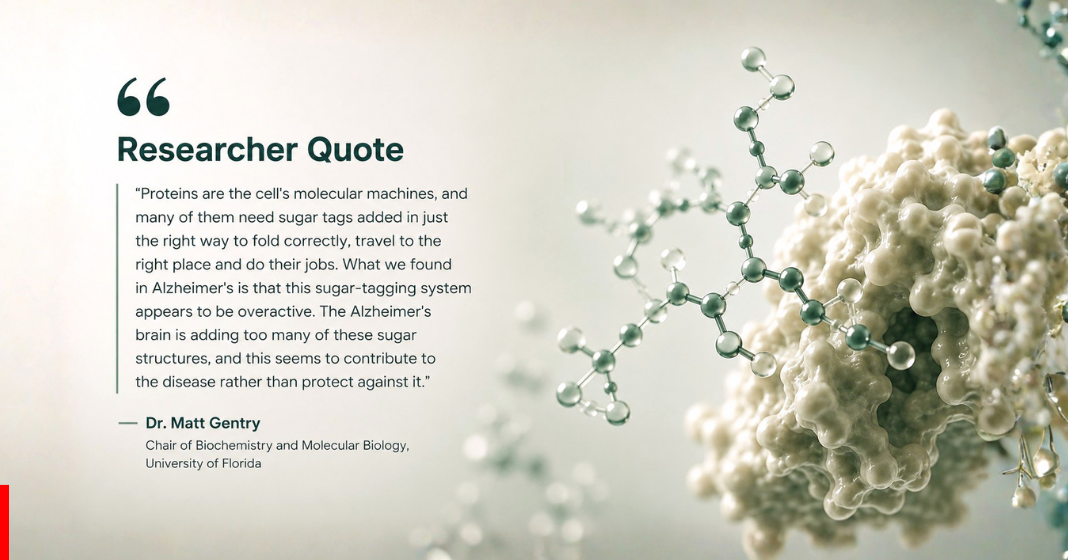 Visual 3 1068px × Sky Nutraceuticals Is Your Daily Joint Supplement Quietly Harming Your Brain?
